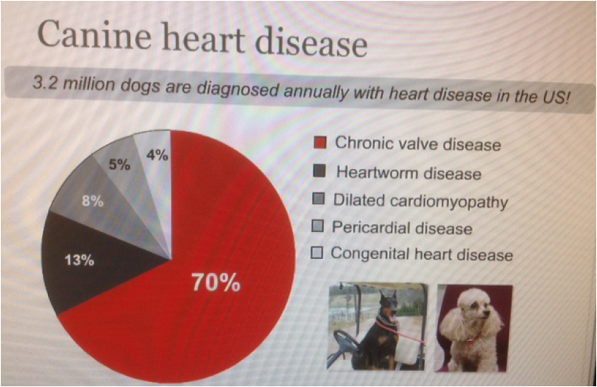 Cardiovascular Pharmacology